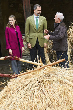 Spanish Royals Visit Los Oscos Region