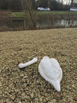 RSPCA investigates sinister swan decapitation only to find broken model 