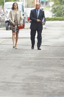 Queen Letizia attends a Meeting at the headquarters of the Mental Health Confederation Spain Queen Letizia attends a Meeting at the headquarters of the Mental Health Confederation Spain