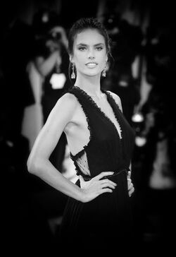 Portrait s from the 72nd Venice Film Festival