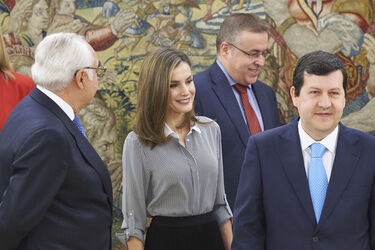 Queen Letizia attends audiences at Zarzuela Palace