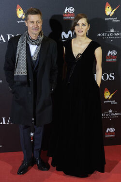 Pregnant Marion Cotillard leans in to speak to Brad Pitt as the pair promote their new film Allied in Madrid Spain