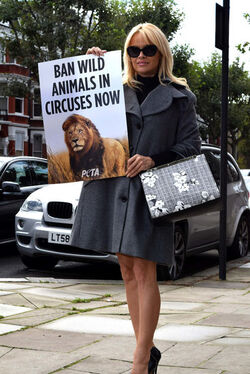 Pamela Anderson Urges PM Theresa May to Ban Wild Animal Circuses During Flying London Visit