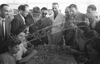 Fiera Campionaria di Vicenza 1946 Farmaceutica Zambon