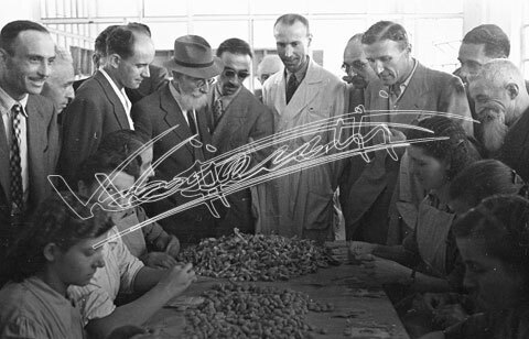 Fiera Campionaria di Vicenza 1946 : Farmaceutica Zambon. pellicola - negativo bianco e nero fto mm 24X36