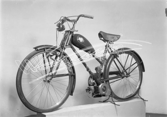 Cicli GOTT : di Chemello e Cappelletti. lastra di vetro - negativo bianco e nero fto mm 130x180