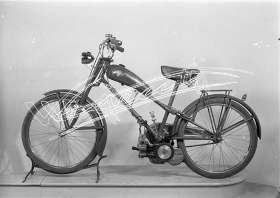 Cicli GOTT : di Chemello e Cappelletti. lastra di vetro - negativo bianco e nero fto mm 130x180