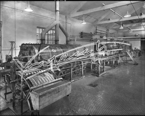 Demanio Acque di Recoaro. lastra di vetro - negativo bianco e nero fto mm 240X300