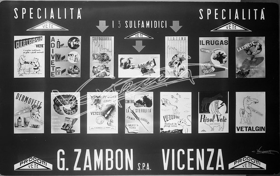 Farmaceutica Zambon. lastra di vetro - negativo bianco e nero fto mm 180x240