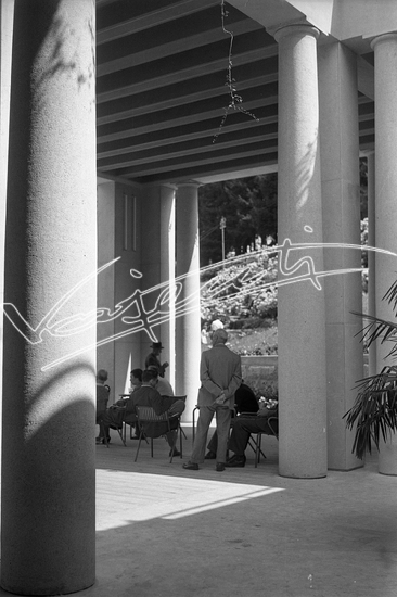 Demanio Acque di Recoaro. Pellicola - negativo bianco e nero f.to mm 60x90