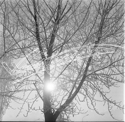 Campo Marzo. pellicola - negativo bianco e nero fto mm 60x60