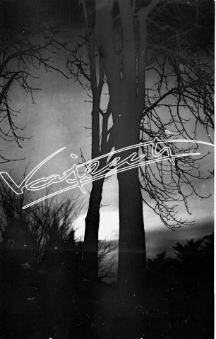 Campo Marzo. pellicola - negativo bianco e nero fto mm 60x90