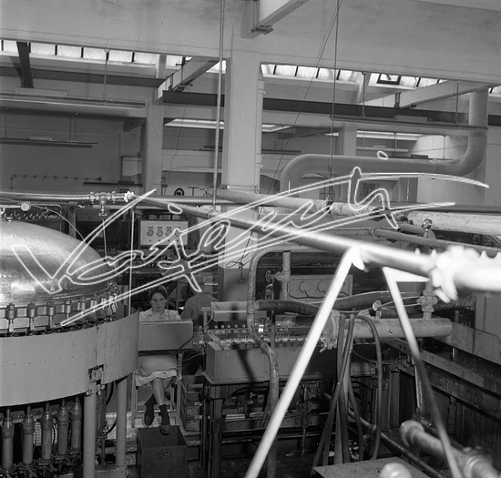 Demanio Acque di Recoaro. Pellicola - negativo bianco e nero - f.to mm 60x60