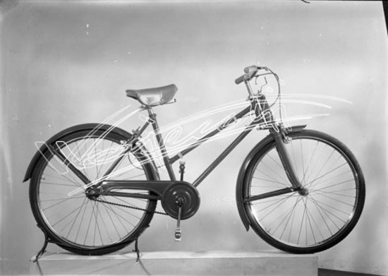 Cicli GOTT : di Chemello e Cappelletti. lastra di vetro - negativo bianco e nero fto mm 130x180