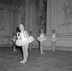 Scuola di danza Vanna Busolini