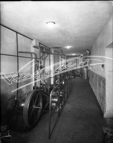 Ditta Ilesa : Fabbrica di Lampadine. lastra di vetro - negativo bianco e nero fto mm 240X300