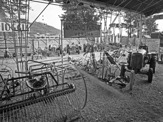 Fiera Campionaria di Vicenza 1952 Padiglione dell Agricoltura