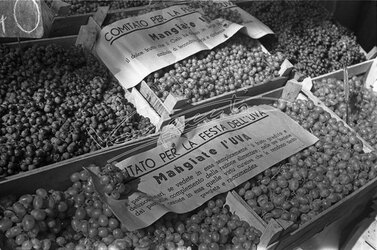 Fiera Campionaria di Vicenza 1946 Festa dell Uva