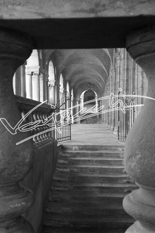 Basilica Palladiana. pellicola - negativo bianco e nero fto mm 60x90