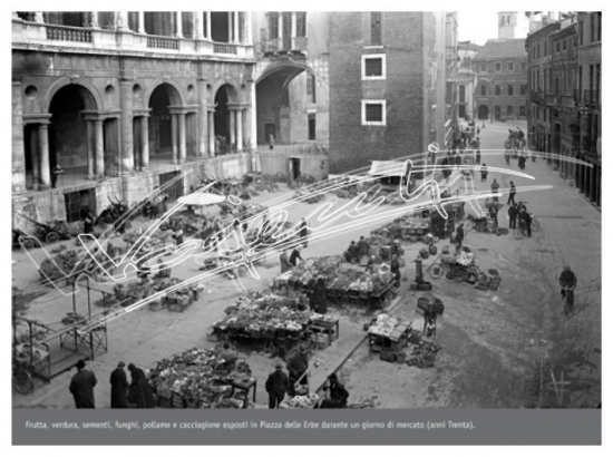 Piazza delle Erbe. File digitale