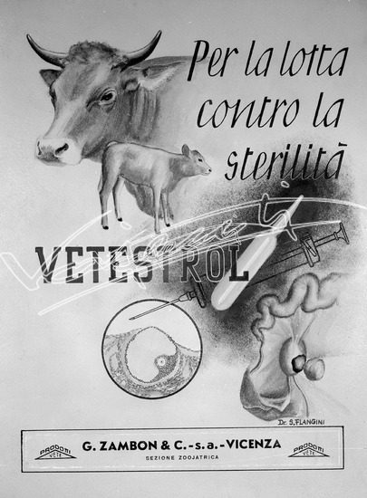 Farmaceutica Zambon. Pellicola - negativa bianco e nero fto mm 180X240