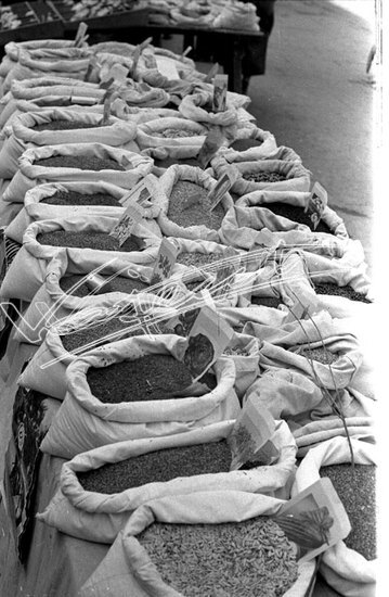 Piazza delle Erbe. pellicola - negativo bianco e nero fto mm 24X36