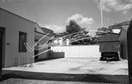 Ditta Tostato Brasil. pellicola - negativo bianco e nero fto mm 60x80