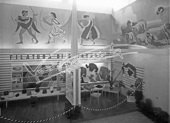 Fiera Campionaria di Vicenza 1950 : Padiglione della lana. lastra di vetro - negativo bianco e nero fto mm 180x240