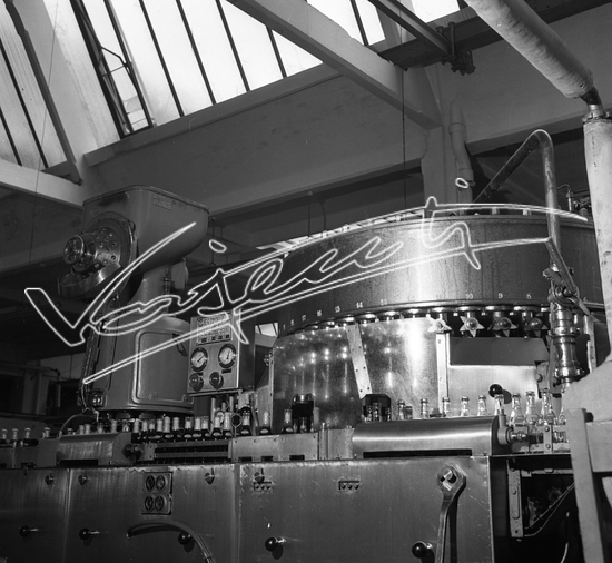 Demanio Acque di Recoaro. Pellicola - negativo bianco e nero - f.to mm 60x60