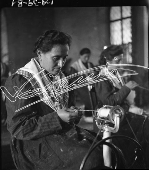 Coniglio d`angora : Mostra in Basilica Palladiana 1942. pellicola - negativo bianco e nero fto mm 60x60