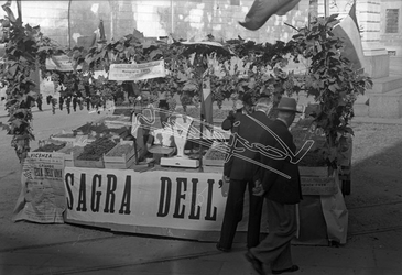 Fiera Campionaria di Vicenza 1946 Festa dell Uva