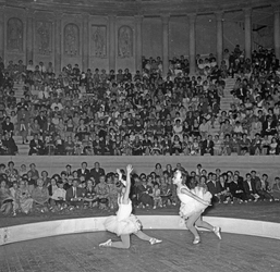 Scuola di danza Vanna Busolini