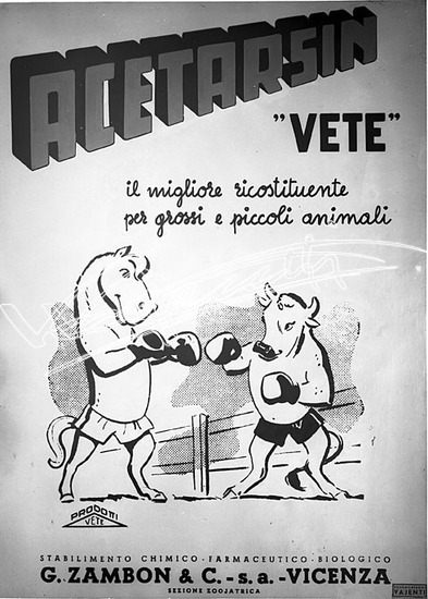 Farmaceutica Zambon. lastra di vetro - negativo bianco e nero fto mm 180x240
