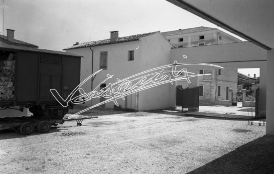 Ditta Tostato Brasil. pellicola - negativo bianco e nero fto mm 60x80