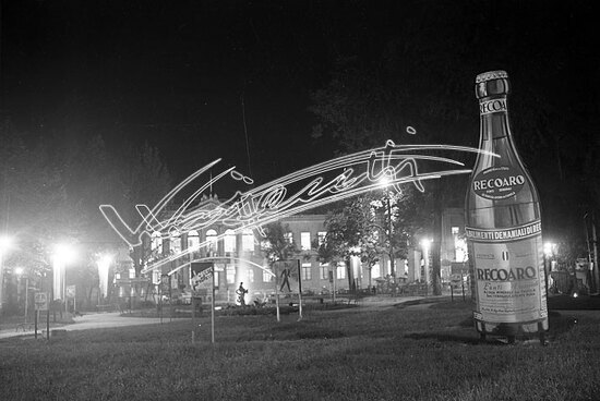Fiera Campionaria di Vicenza 1946 : Giardino Salvi. pellicola - negativo bianco e nero fto mm 60X90