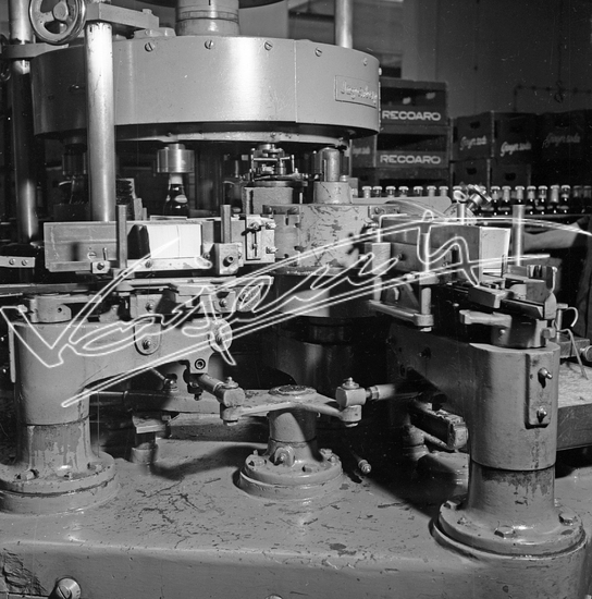 Demanio Acque di Recoaro. Pellicola - negativo bianco e nero - f.to mm 60x60