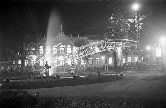 Fiera Campionaria di Vicenza 1946 : Giardino Salvi. pellicola - negativo bianco e nero fto mm 60X90