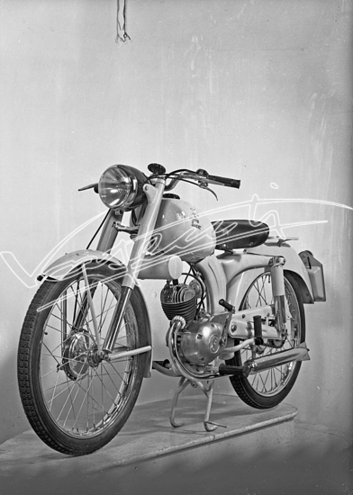 Cicli GOTT : di Chemello e Cappelletti. 