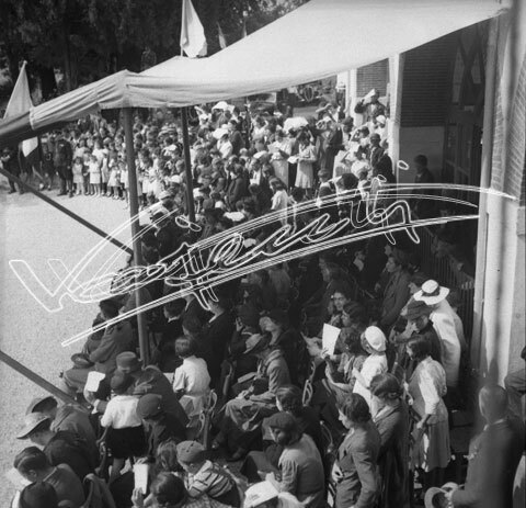 Casa del Sole. pellicola - negativo bianco e nero fto mm 60x60