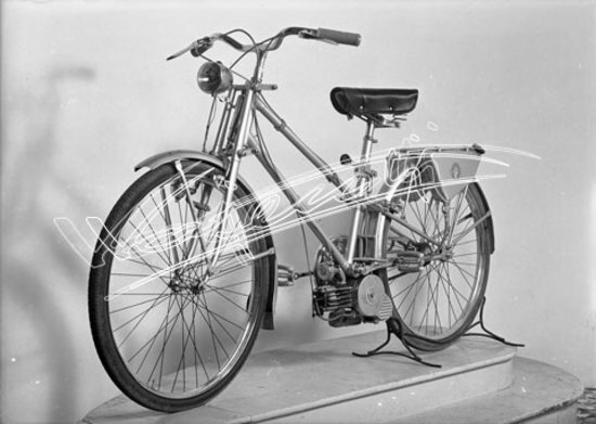 Cicli GOTT : di Chemello e Cappelletti. lastra di vetro - negativo bianco e nero fto mm 130x180