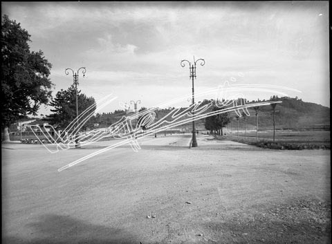 Campo Marzo. lastra di vetro - negativo bianco e nero fto mm 180x240