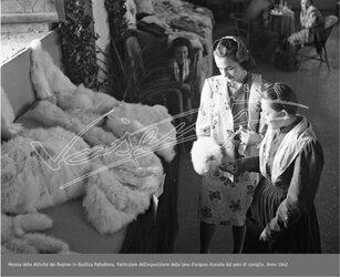 Lavorazione Coniglio d Angora Mostra in Basilica 1942