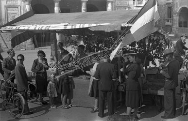 Fiera Campionaria di Vicenza 1946 Festa dell Uva