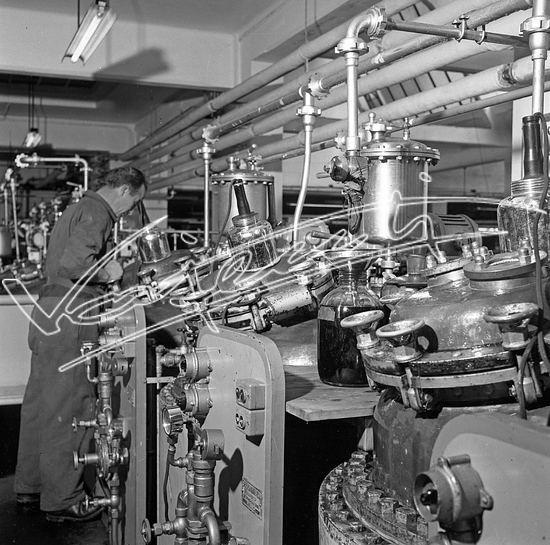 Demanio Acque di Recoaro. Pellicola - negativo bianco e nero - f.to mm 60x60