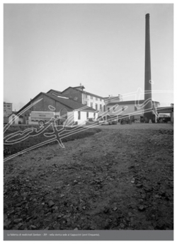 Farmaceutica Zambon Farmaceutica Zambon