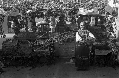 Fiera Campionaria di Vicenza 1946 Festa dell Uva