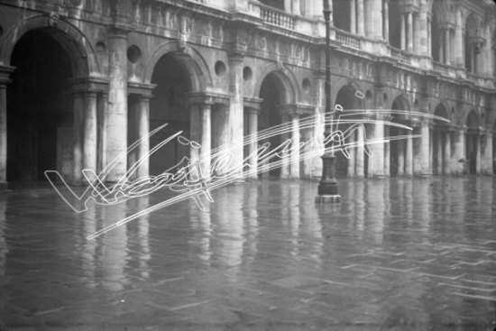 Basilica Palladiana. pellicola - negativo bianco e nero fto mm 60x90