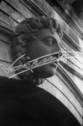 Basilica Palladiana : restauro 1947-1951. pellicola - negativo bianco e nero fto mm 60x90