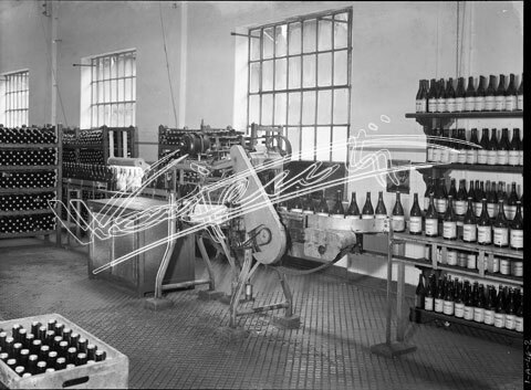 Demanio Acque di Recoaro. lastra di vetro - negativo bianco e nero fto mm 180x240