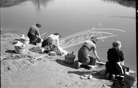 Lavandare: Fiume Bacchiglione. pellicola - negativo bianco e nero fto mm 60x90